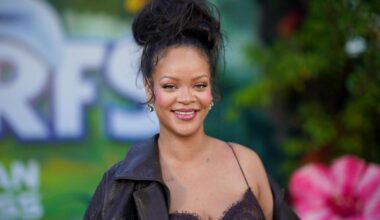 Prosecution paused for individual accused of firing at Rihanna's home