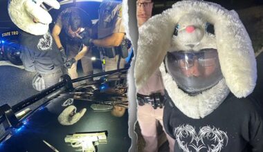 Florida man in bunny helmet accused of leading 120 mph police chase