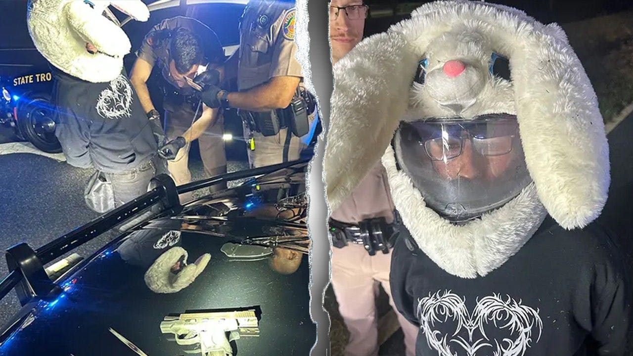 Florida man in bunny helmet accused of leading 120 mph police chase
