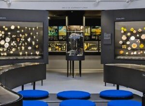 Shell Museum Recognized - Beach Talk Radio News