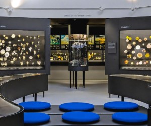 Shell Museum Recognized - Beach Talk Radio News