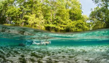 Best state parks in Florida for boaters, birders, and biophiles