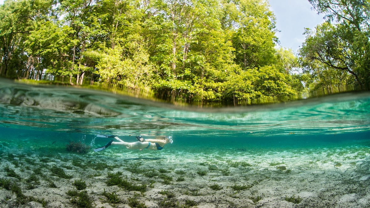 Best state parks in Florida for boaters, birders, and biophiles
