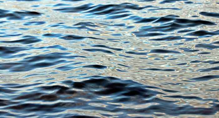 Coast Guard jumps into action after plane crashes off coast of Central Florida