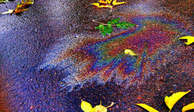 Gasoline, oil dumped into Central Florida storm drain, city announces