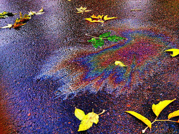 Gasoline, oil dumped into Central Florida storm drain, city announces