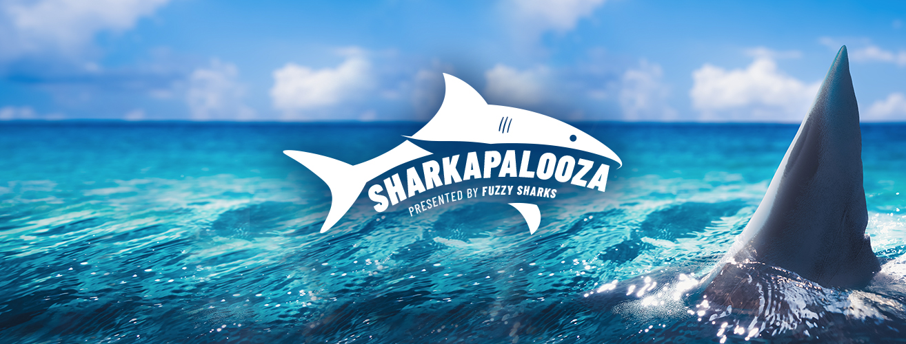Sharkapalooza 2026 - St Pete Catalyst