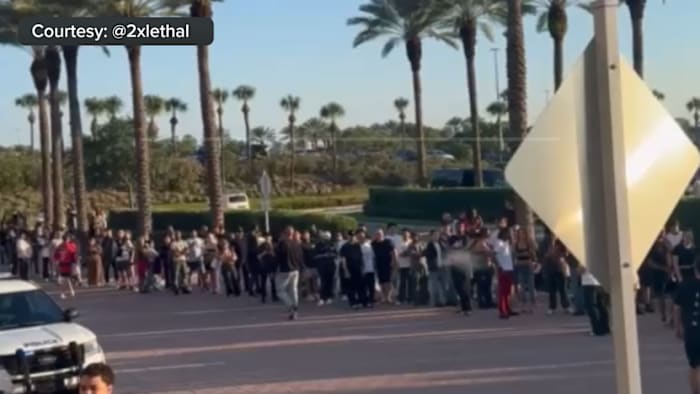 Pop Royal frenzy forces shutdown of Swatch store at The Mall of Millenia