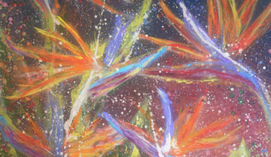 Artwork on display at TCH - SANIBEL-CAPTIVA