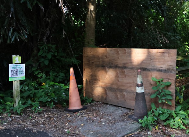 The entrance to the nature trail at Snyder Park in Fort Lauderdale remains boarded off on May 26, 2026. The park is slated for upgrades as part of a $200 million parks bond approved seven years ago, but work is not expected to begin until 2028. (Joe Cavaretta/South Florida Sun Sentinel)