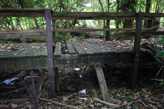 The nature trail at Fort Lauderdale's Snyder Park, shown on May 26, 2026, has been declared a public safety hazard. The trail was closed in 2024 and won't be reopening anytime soon. (Joe Cavaretta/South Florida Sun Sentinel)