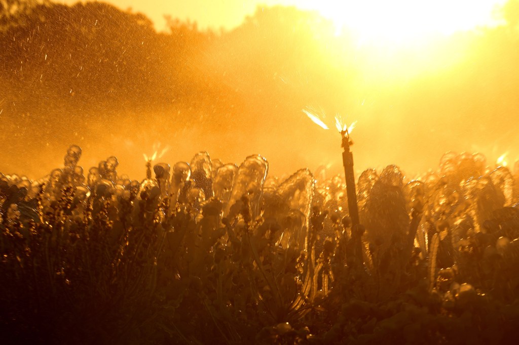 Sustainability isn’t seasonal – Orlando Sentinel