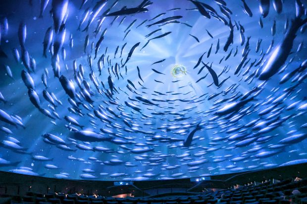 A scene is projected on the massive screen of the newly renovated domed theater, now called the The Dome by Dr. Phillips Charities, at the Orlando Science Center, Tuesday, May 26, 2026. The $7 million renovation features state-of-the-art 8K digital projection, immersive surround sound, and all-new seating. (Joe Burbank/Orlando Sentinel)