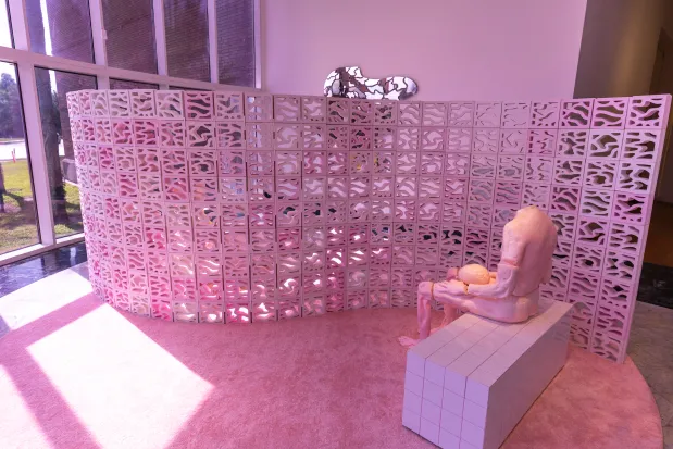 We Are Nice'n Easy, a collaborative duo featuring artists Allison Matherly and Jeffrey Noble working as a husband-and-wife team, has a pink-hued installation in the 2026 Florida Prize in Contemporary Art exhibition at the Orlando Museum of Art on May 26, 2026. (Patrick Connolly/Orlando Sentinel)