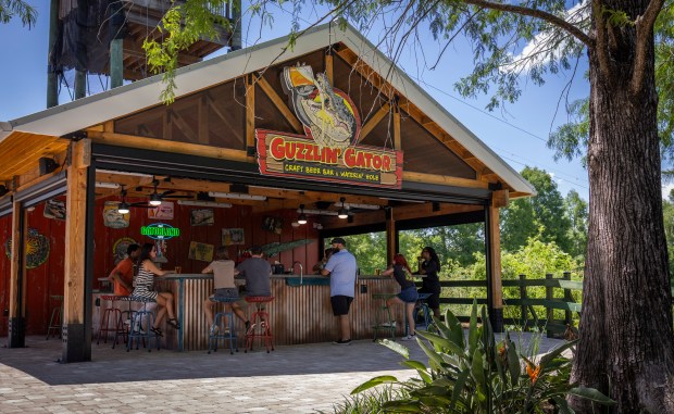 Scenes from Gatorland's new bar, the Guzzlin' Gator Beverage Barn, now open inside the South Orange Blossom Trail attraction. Gatorland has also partnered with Crooked Can Brewing Company of Winter Garden to offer the Grinnin' Gator lager at the location. (Gatorland)