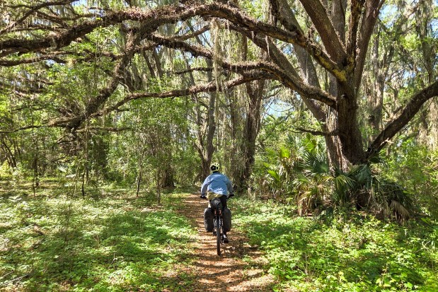 Evan Sanders bikes along the Cross Florida Greenway near Dunnellon on April 15, 2026. (Patrick Connolly/Orlando Sentinel)