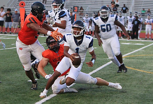Winter Park defensive linemen KJ Davis (9) and Talyn Boe (11) made for a miserable night for Dr. Phillips quarterbacks, like Tien Williams, on this play. (Chris Hays/Orlando Sentinel)