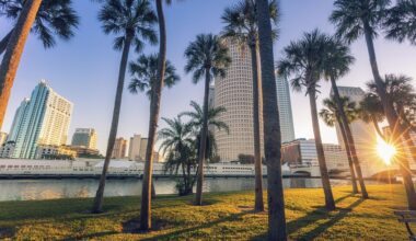 Tampa Bay among national leaders in coworking space growth