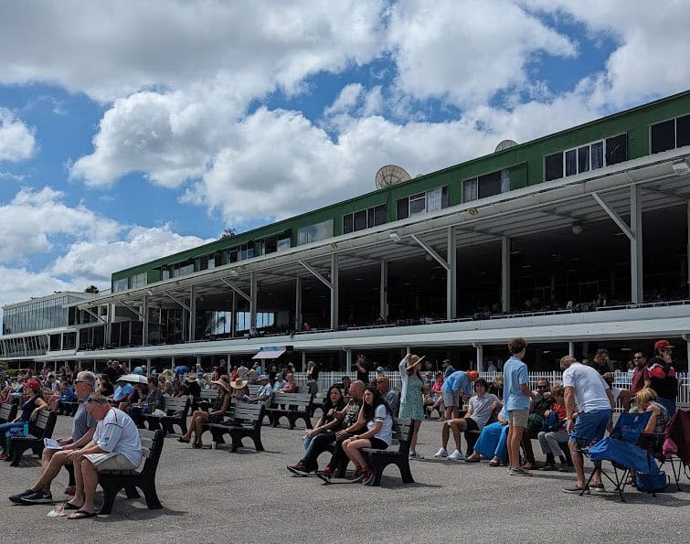 The Tampa Bay Downs’ grandstand is packed with people seated on benches, waiting for the next race. (Photo: ©Tammy A. Gantt)