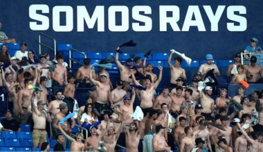 Tampa Bay Rays fans cheer on the team during the eighth inning of a baseball game against the Baltimore Orioles Monday, May 18, 2026, in St. Petersburg, Fla. (AP Photo/Chris O'Meara)