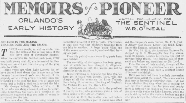 The "Memoirs of a Pioneer" column about swans that appeared in the Sunday Sentinel and Reporter-Star in December 1932. (Orlando Sentinel file)