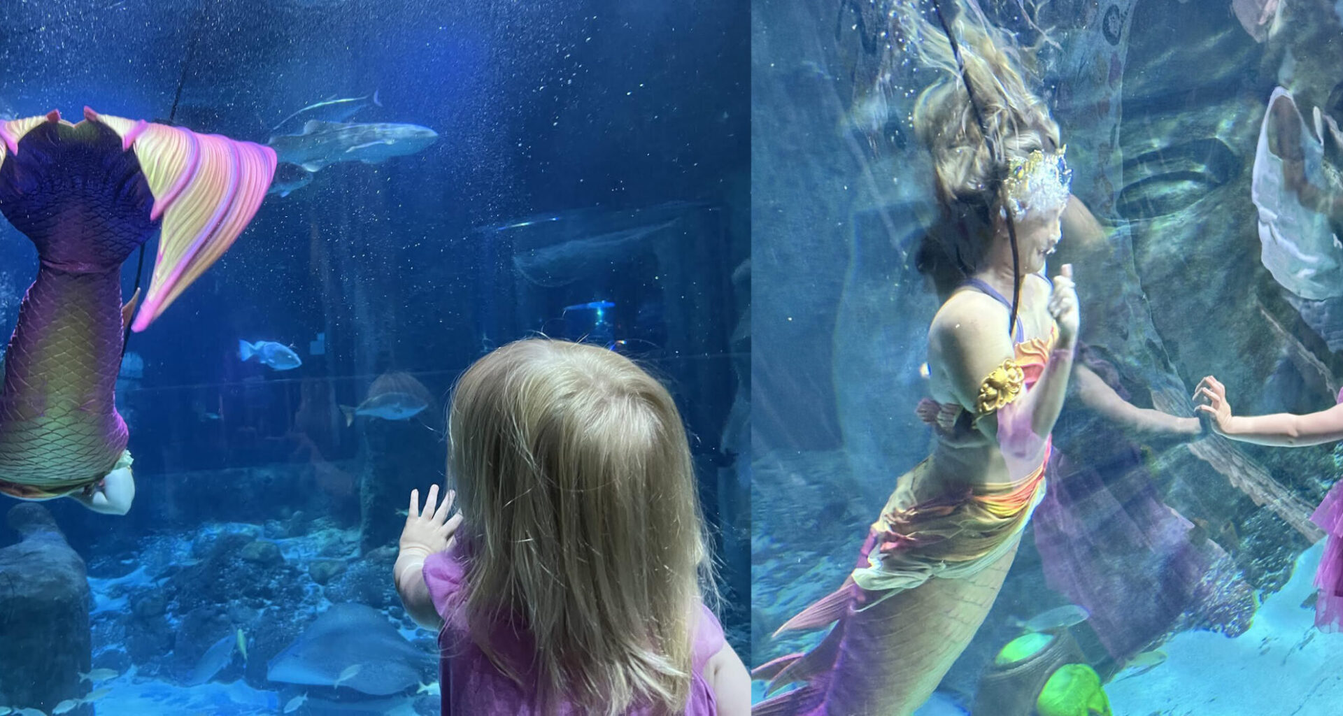 Mermaids, Bluey, drones and Legos. There's lots to do in Orlando this summer