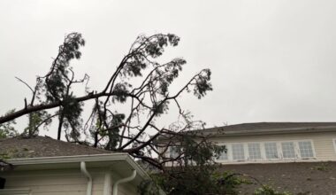 Tallahassee assisted living community celebrates memory care unit reopening 2 years after tornado damage
