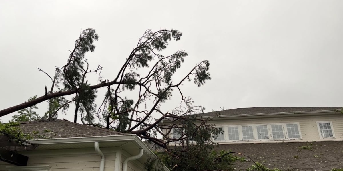 Tallahassee assisted living community celebrates memory care unit reopening 2 years after tornado damage