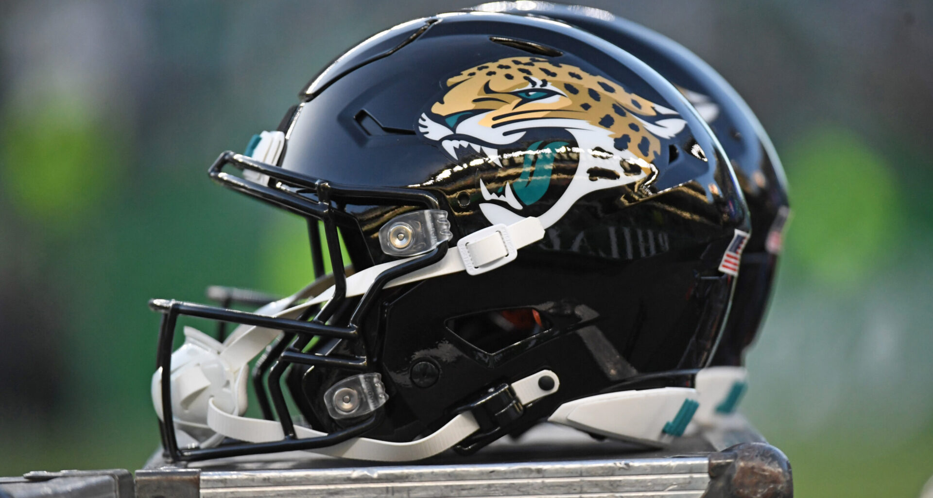 Ex-Vikings RB Picks Jaguars as Next Team