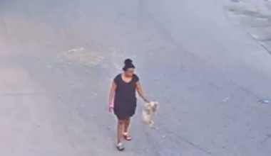 Florida woman seen on camera throwing, kicking puppy