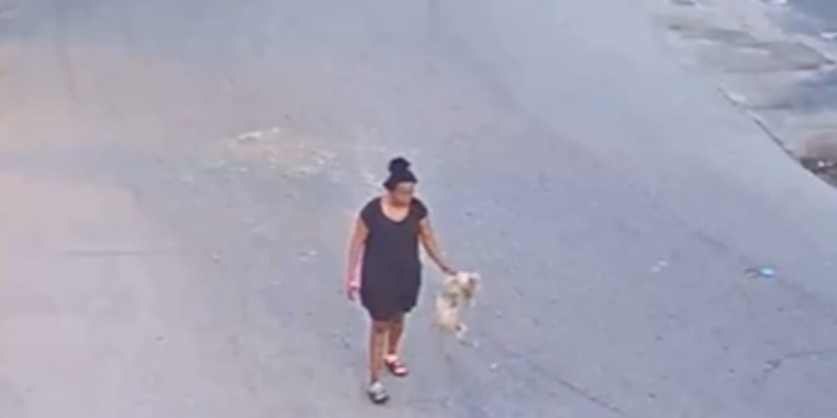 Florida woman seen on camera throwing, kicking puppy