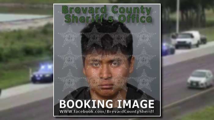 Man punches trooper during I-95 traffic stop in Brevard County, Florida Highway Patrol says
