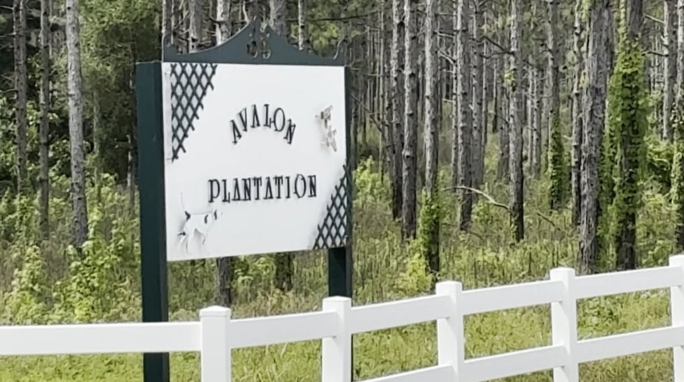 He owned several ranches, one of which is located in Lamont, Florida. Avalon, situated just...
