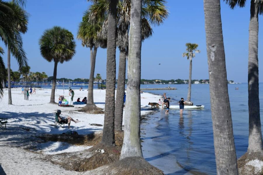 St. Pete slips in park rankings as other cities accelerate investment