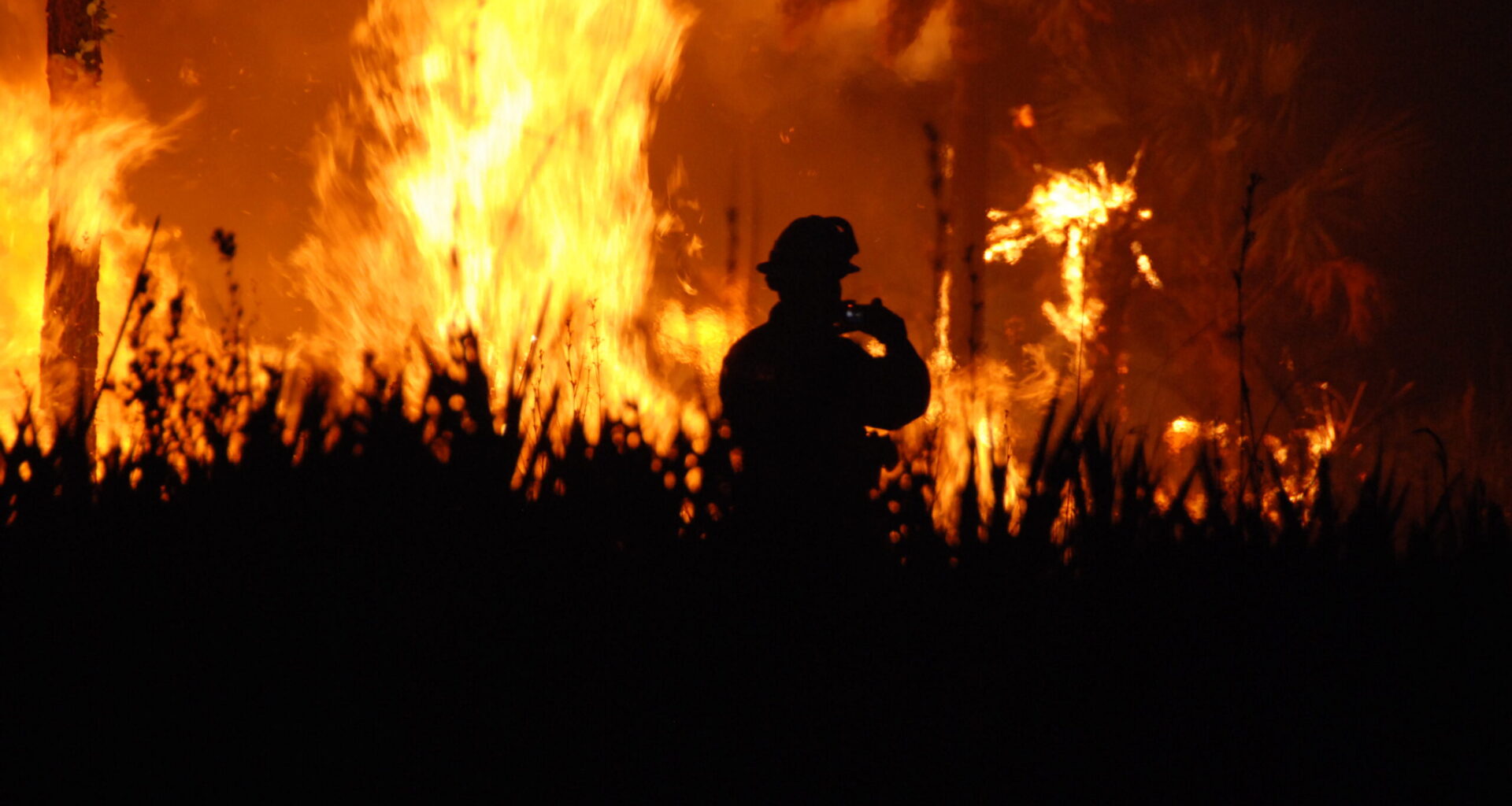 Florida Cabinet officers give warning as peak wildfire season is only beginning