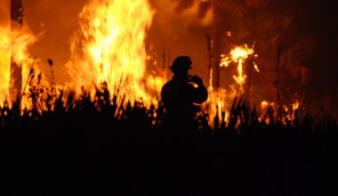 Florida Cabinet officers give warning as peak wildfire season is only beginning