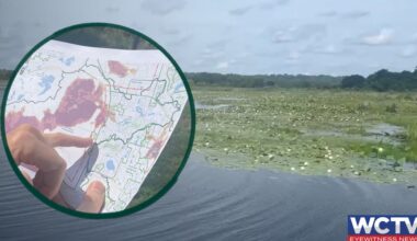 Another attempt to develop land near Lake Jackson Aquatic Preserve
