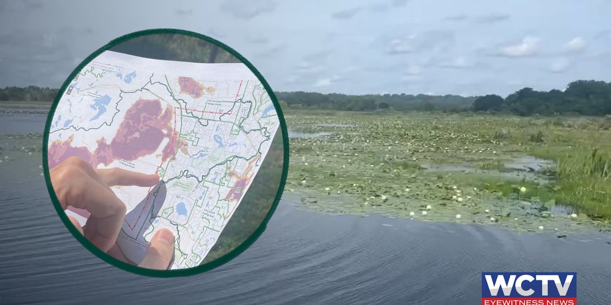 Another attempt to develop land near Lake Jackson Aquatic Preserve