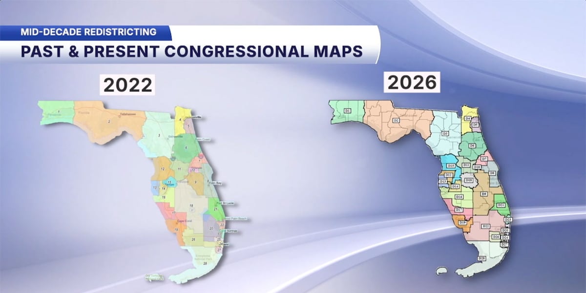 Leon County circuit judge lets Florida's new congressional map stand for 2026 elections
