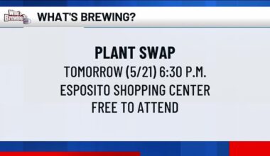 What’s Brewing - Plant Swap