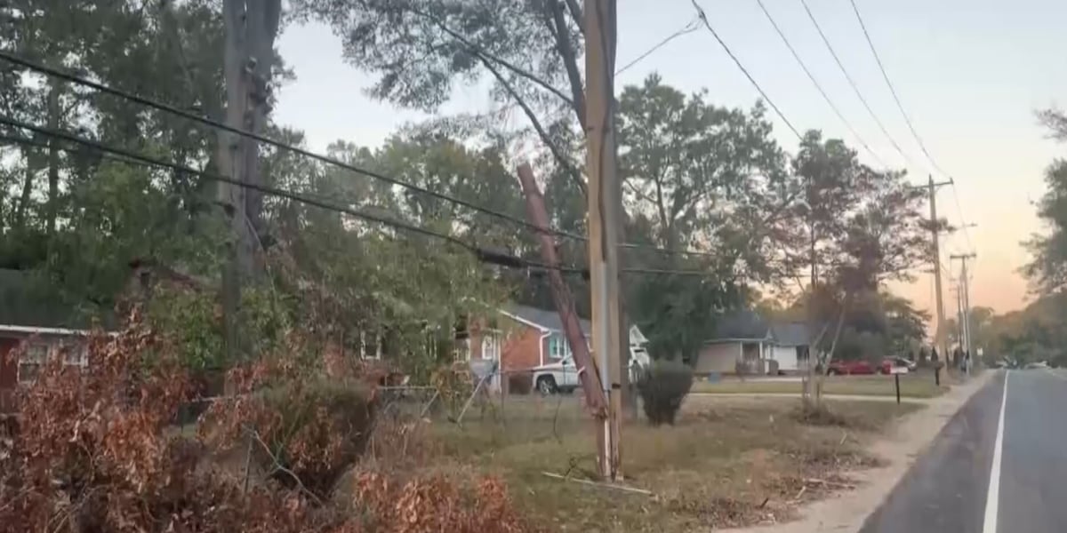 FEMA approves nearly $1 million to reimburse Leon County for Hurricane Helene cleanup