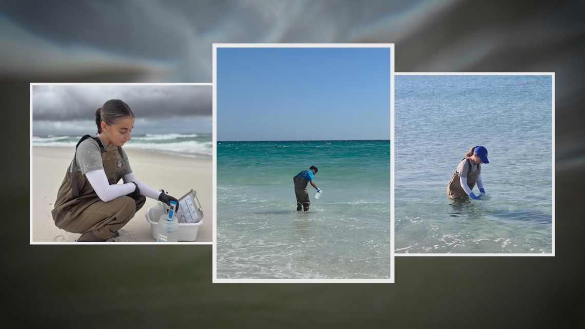Researchers hope to forecast Vibrio vulnificus and reduce infections