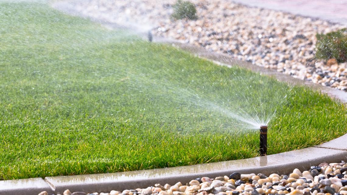 More than 400 Tampa residents have received citations for violating watering restrictions