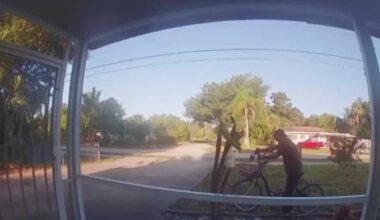 Florida woman heartbroken after garden gnomes stolen