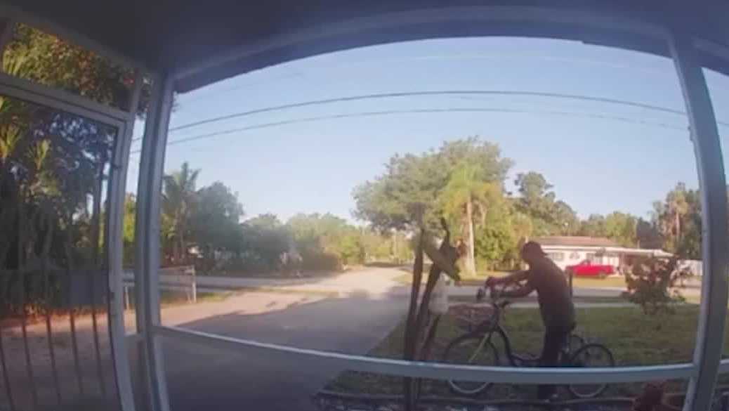 Florida woman heartbroken after garden gnomes stolen