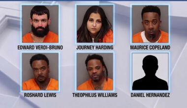 Tampa's new Homeland Security Task Force arrests 6 in fentanyl trafficking bust