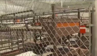 Immigration attorney weighs in on reports Florida's 'Alligator Alcatraz' will close