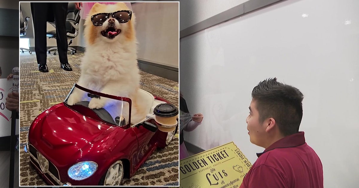 Florida’s famous Pomeranian Koda the Fluff surprises three families in need with three-day, VIP getaway