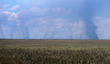 Florida Cabinet officers give warning as peak wildfire season is only beginning