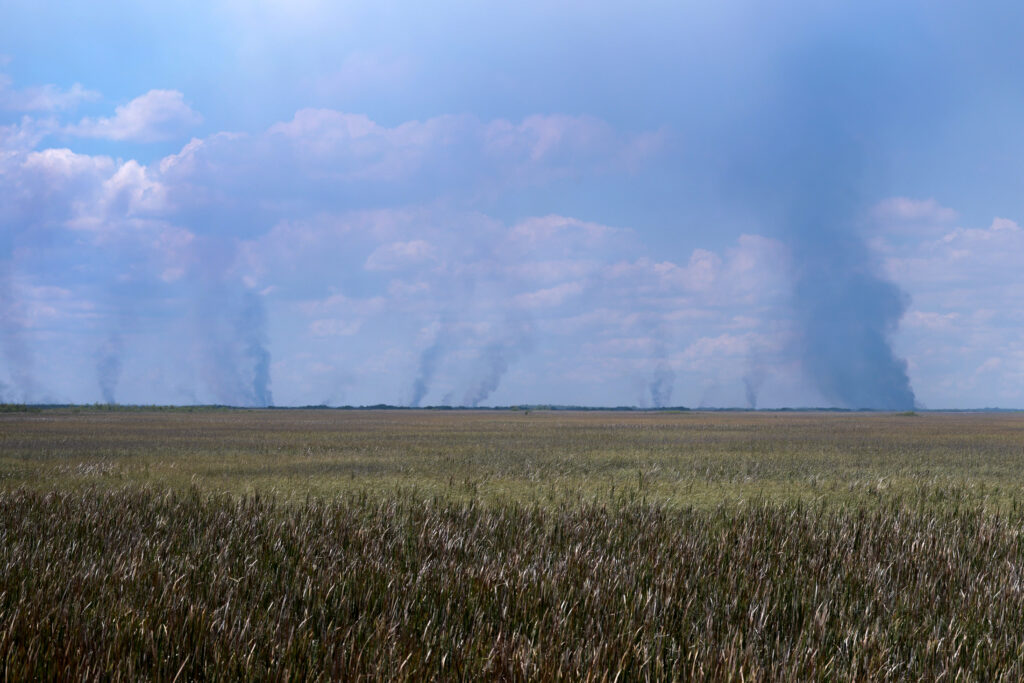 Florida Cabinet officers give warning as peak wildfire season is only beginning